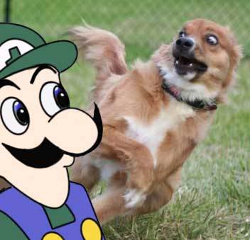 weegee2.jpg.ff8194df129302a47b0a59083a5299f3.jpg