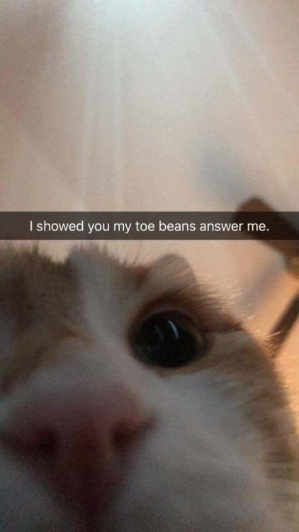 I showed you my toe beans.jpg