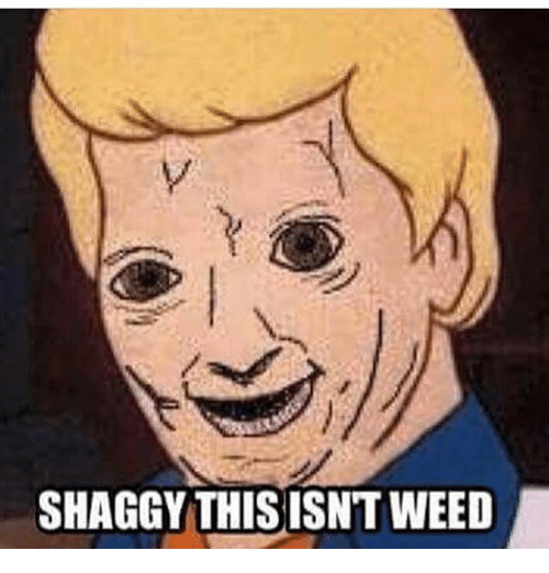 shaggy-this-isnt-weed-23676897.png.8b1616dfa06157249e33a14cfa9d4745.png