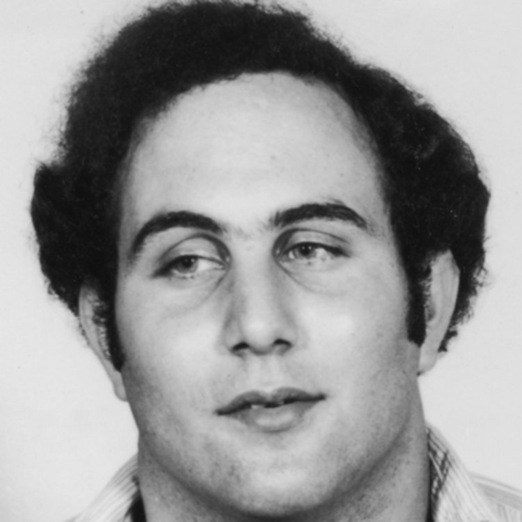 david-berkowitz-9209372-1-402.jpg