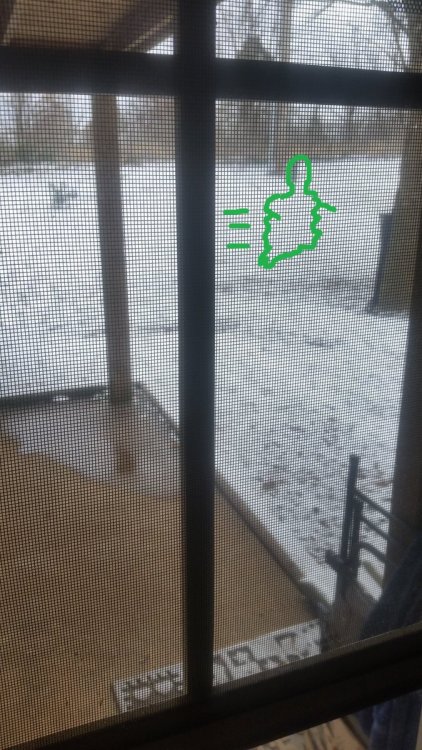 ghost snow.jpg