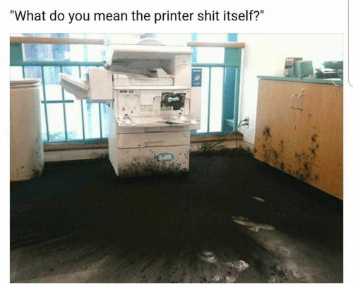 what-do-you-mean-the-printer-shit-itself-37358430.png.275a2d1aaa0755168e3376fc2cd2a4db.png