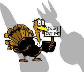 thankful-not-a-turkey.jpg.f95deebd9104c19c8d6f18bcdfffbafb.jpg