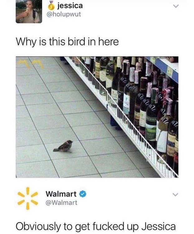 bird.thumb.jpg.68740d1582cb3157c9c2c83ee36567b9.jpg