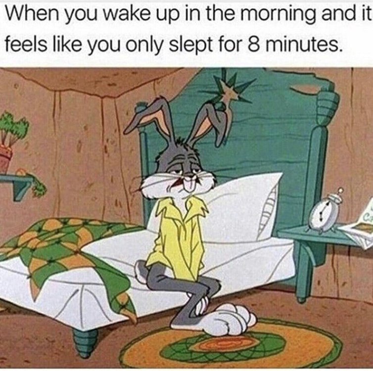 only-slept-for-eight-minutes-above-a-pic-of-bugs-bunny-sitting-on-his-bed-looking-sleep-deprived.jpeg