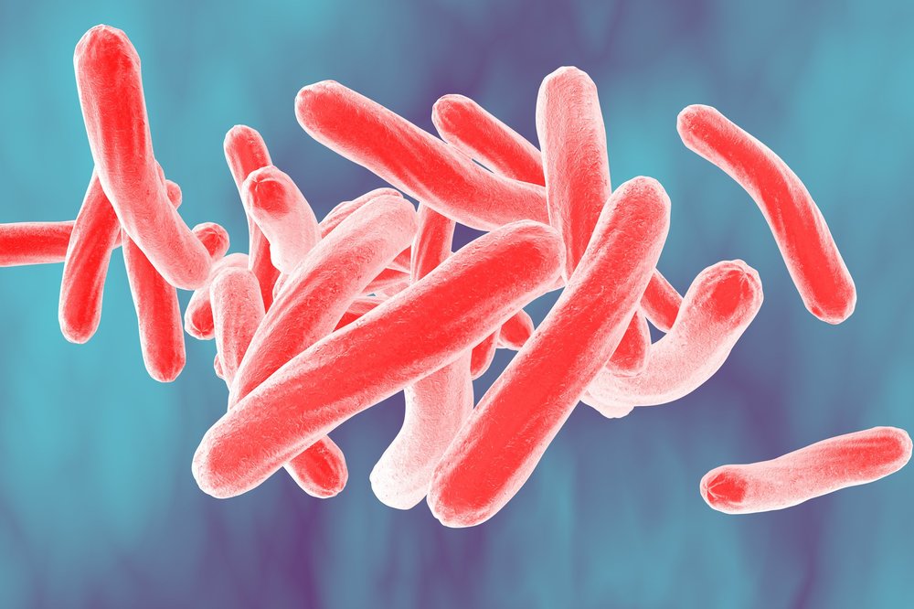 mycobacterium_tuberculosis_collection.jpg