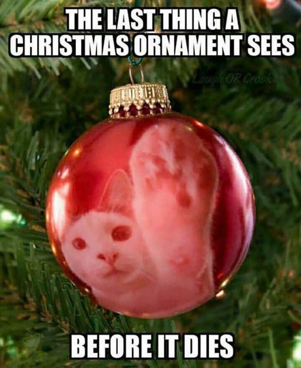 funny-christmas-meme-9.jpg