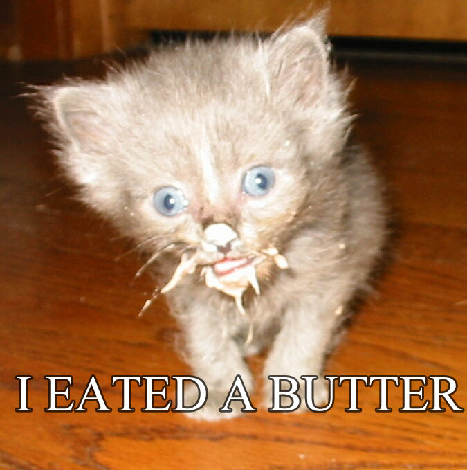 butter.jpg.cb4706bc46f209f4d7b438840583820f.jpg