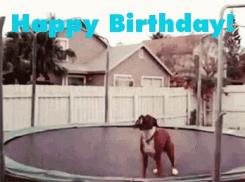 happy-birthday-trampoline.gif.8e4bd246c3d9693d5700a9400b6ba318.gif