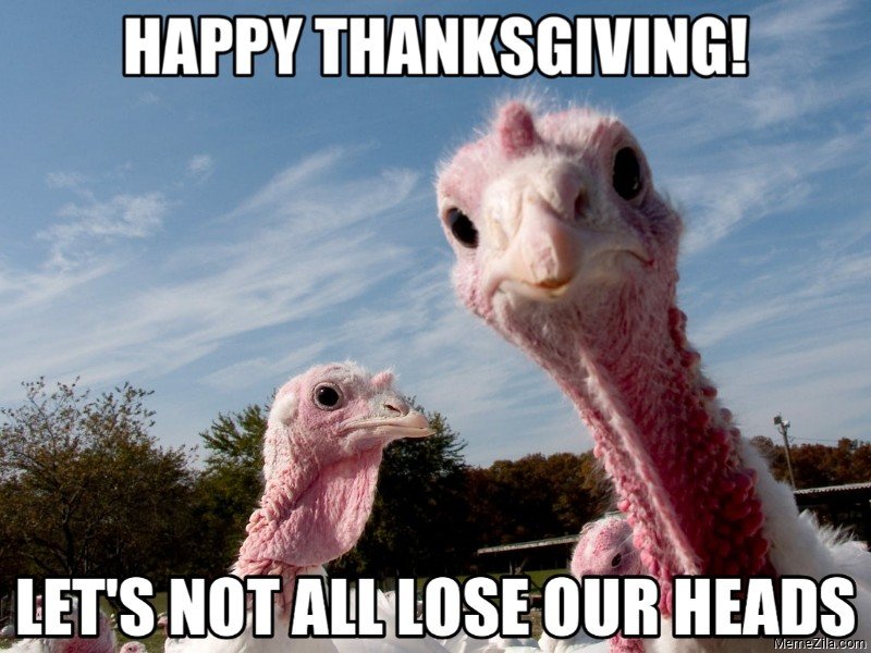 Happy-thanksgiving-Lets-not-all-lose-our-heads-meme-8182.png.55a4b09628672c4b832f4a27f2b2b5d3.png