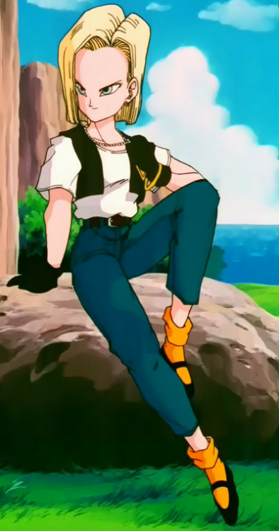 Android18ImperfectCellSagaNV.thumb.png.03f93e9c69ca0a9f7d415d1e7888c474.png