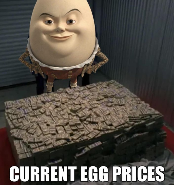 Humpty.thumb.jpg.a78acffb1a5cb3ddb24dc41afde57e27.jpg