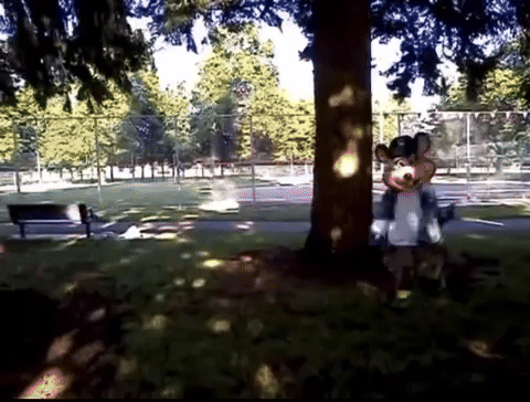 77FA3359-059F-42F2-81A2-42408A32292B.gif.79c3f054a326d0b88a944ecdff3c7565.gif