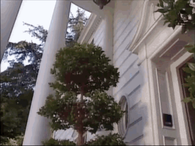 D78DBACA-0ED2-4475-AFAD-3ABC019A42FC.gif.1a51c859db25d64fabc8a221855bea83.gif