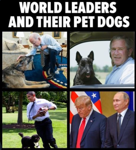 image.png.2b6706d6f1b335d376f48e6f1a310478.png