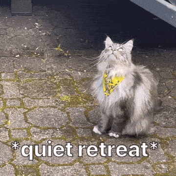 quietretreat.gif.64a6d5eba9a2c6bbce83e521602746d2.gif