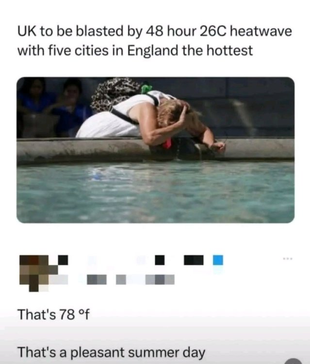 1745954365356.jpg