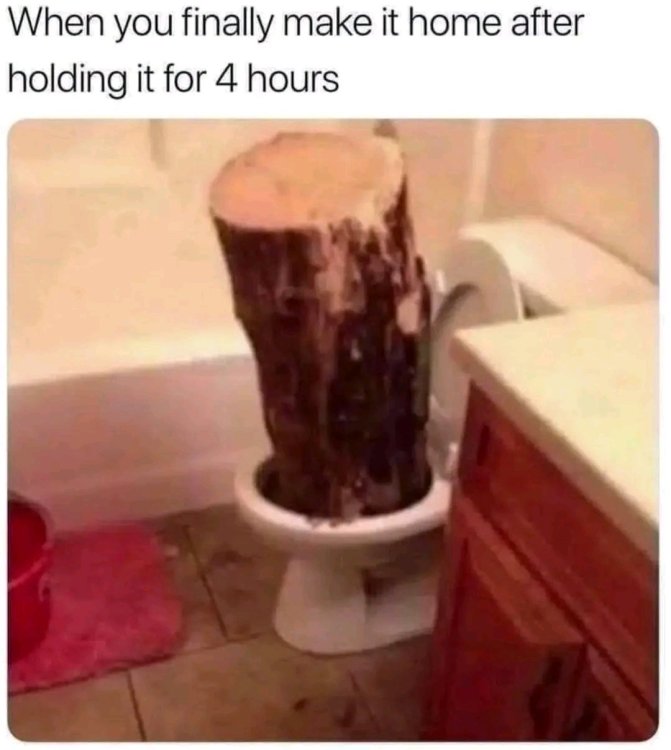 1747679852218.jpg