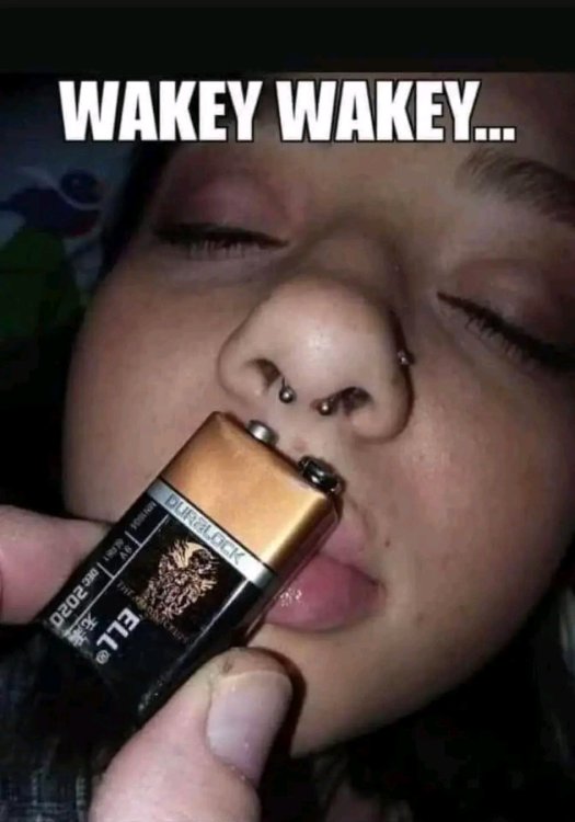 1747679927887.jpg