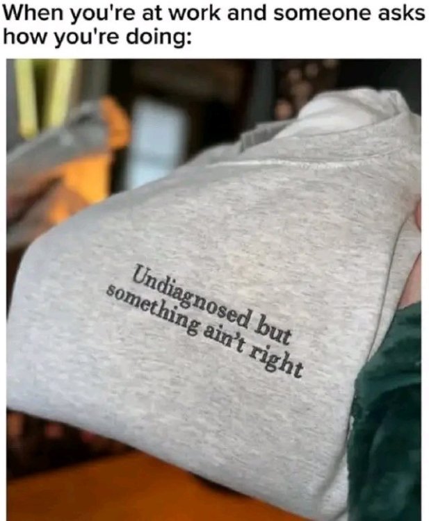 1747686135176.jpg