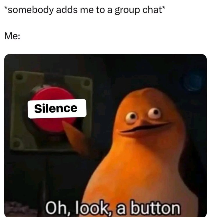 1747921759905.jpg