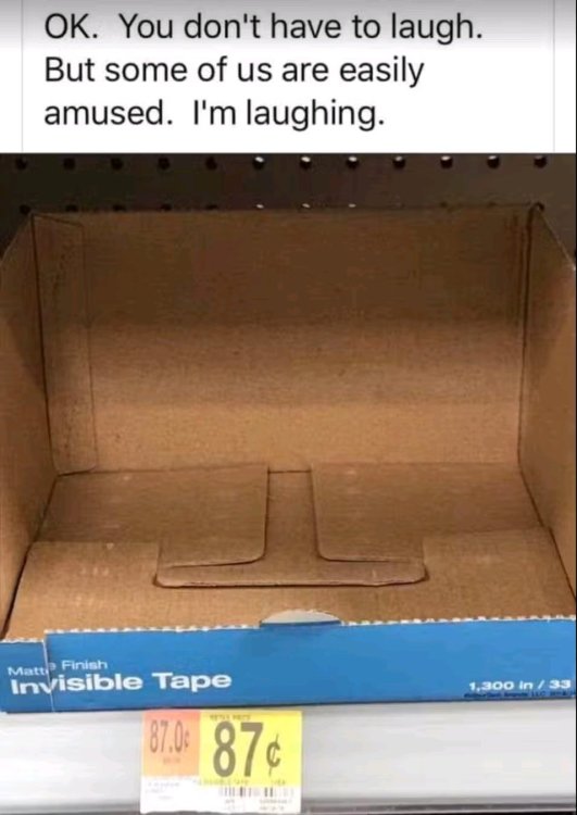 1748298511299.jpg