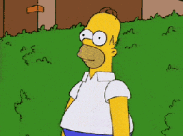 IMG_7478.gif.dbb3ed3b1f41f1158eaa97f5a98965d7.gif