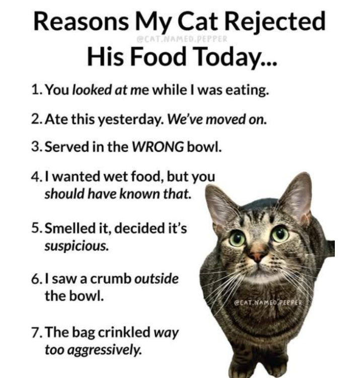 image.thumb.png.094901a48636d0b23c152945c8078079.png