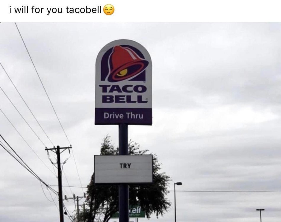 tacotry.thumb.jpg.22d7688969fc9099cb6017a9f2cfd3bd.jpg