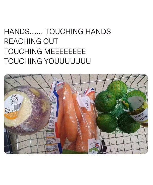 1749052185511.jpg