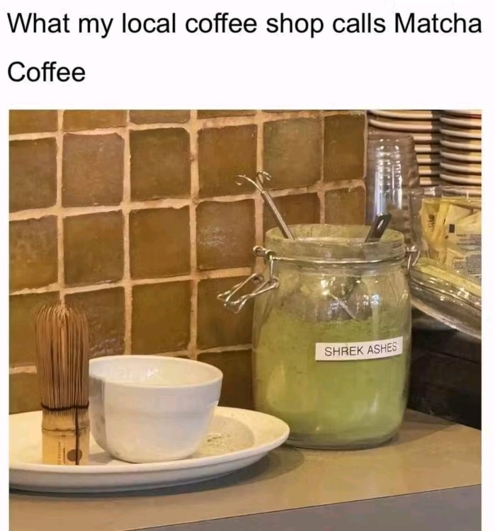 1749476753265.jpg