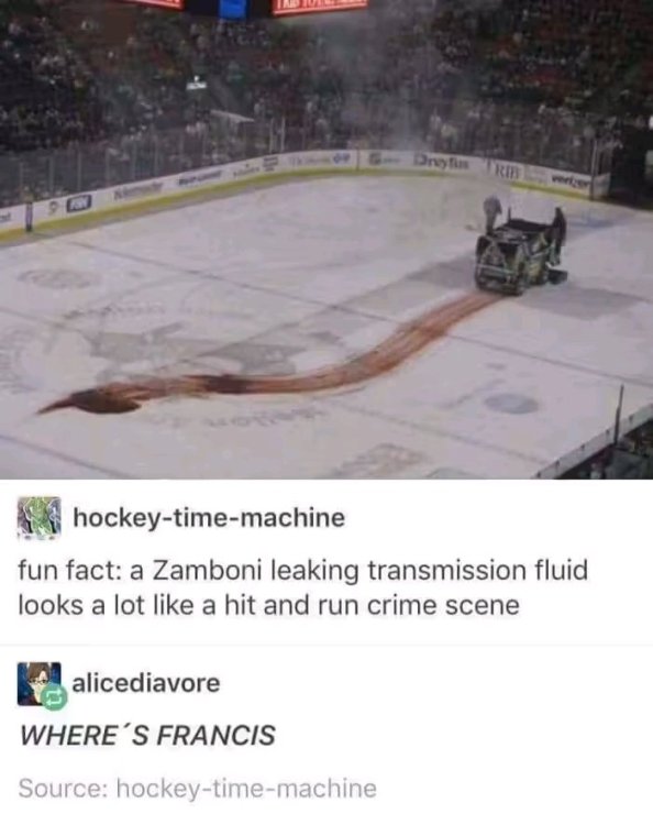 1749658826205.jpg