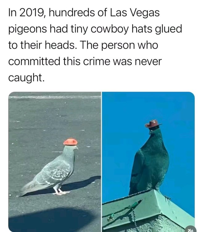 1750706852679.jpg