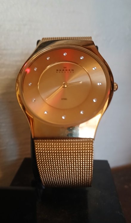 Skagen pic.jpg