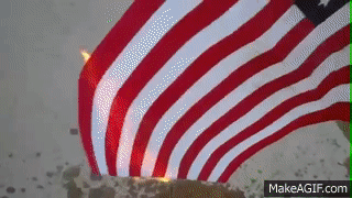 eH_Qyf.gif.1ec7dbdb7dce157686af477ca1d0fa34.gif