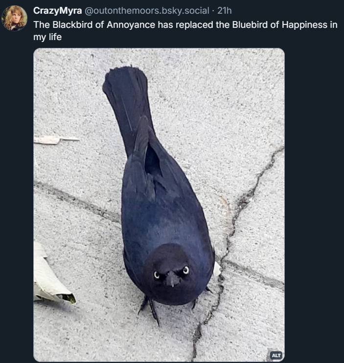 image.png.0ee67ba1071468fce9f774810f65dae2.png