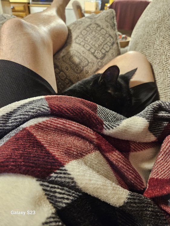 kitty lap 2025.jpeg
