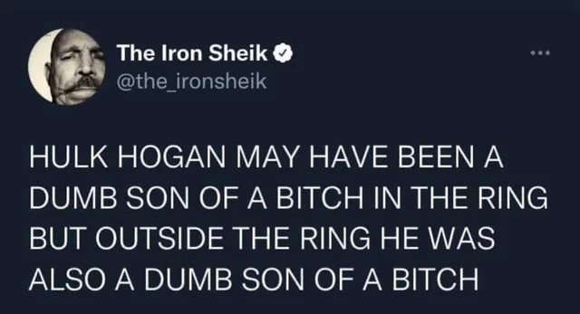 whos-here-after-the-passing-of-hulk-hogan-v0-lyhnifvfluef1.jpeg.webp.8dac1606931ae1e78b33f6c3a4f2c450.webp