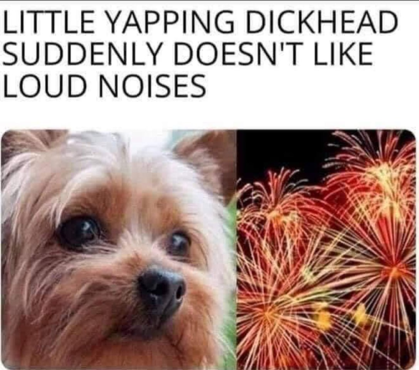 yapper.thumb.png.8229328b8db174d88cdaa07fe72be2db.png