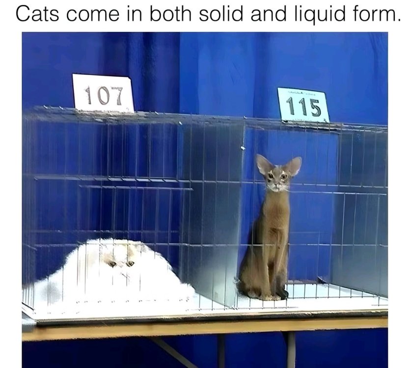 1754855677231.jpg
