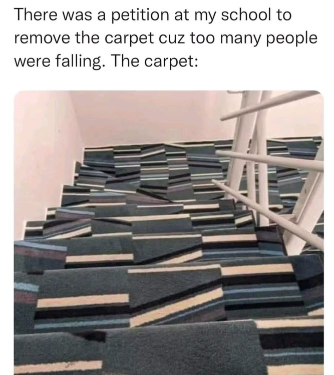 1754940287984.jpg