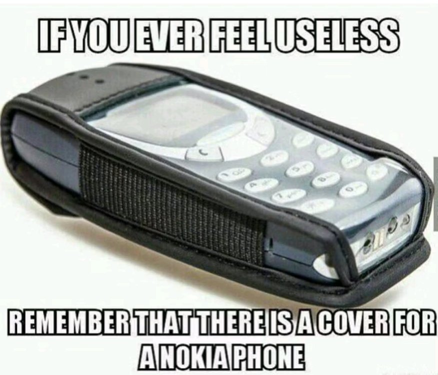 1755450738612.jpg