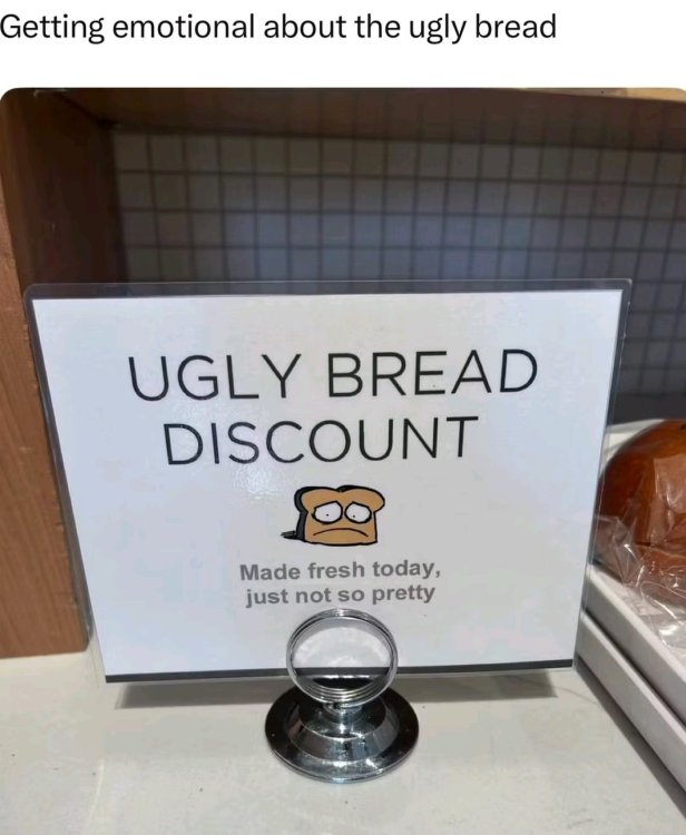1755549757014.jpg