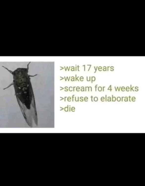 1755550160177.jpg