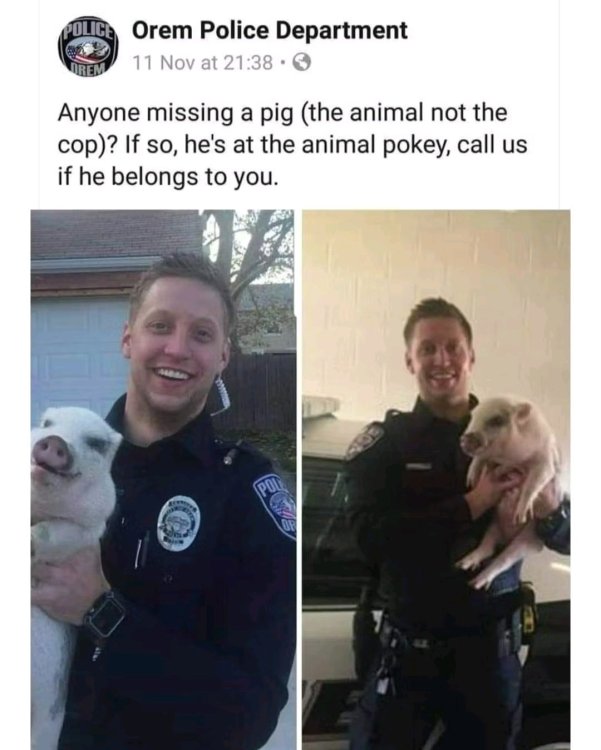 1755810721377.jpg