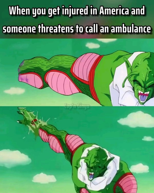 1756154693986.jpg