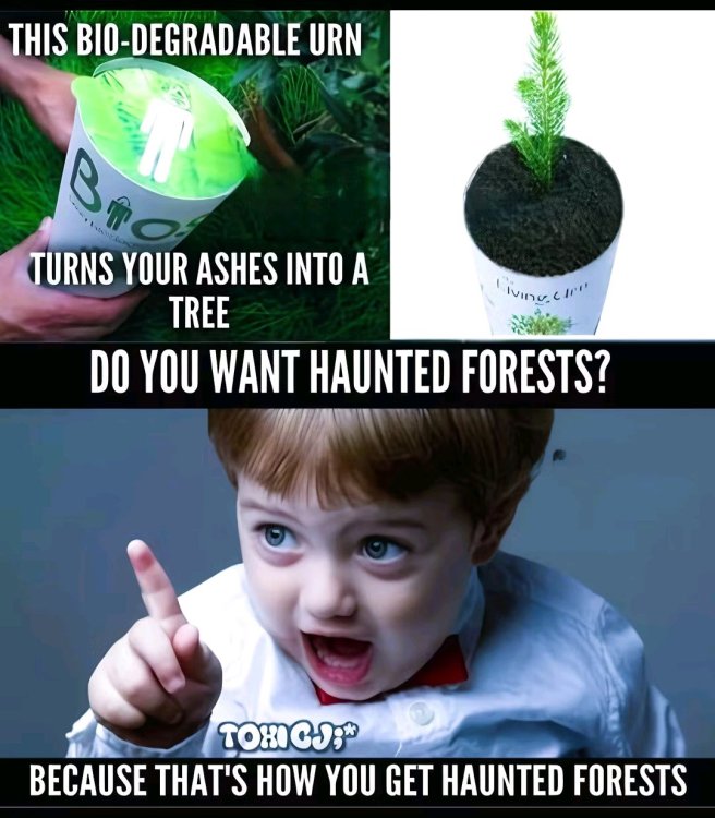 1756155472761.jpg