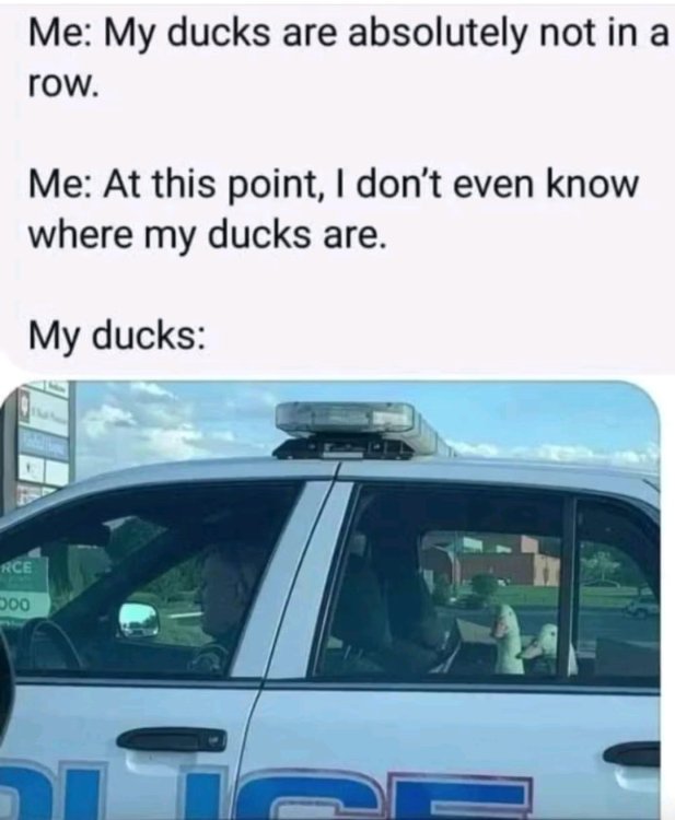 1756155531652.jpg