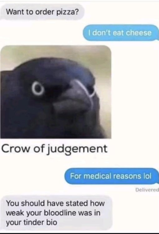 1756155599324.jpg