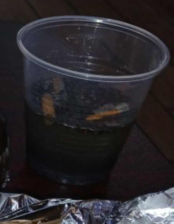 Sump.jpg